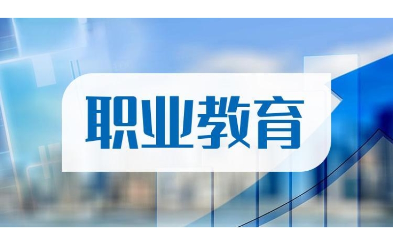 2024年教育部相关领导关于职业教育国际化的讲话摘要